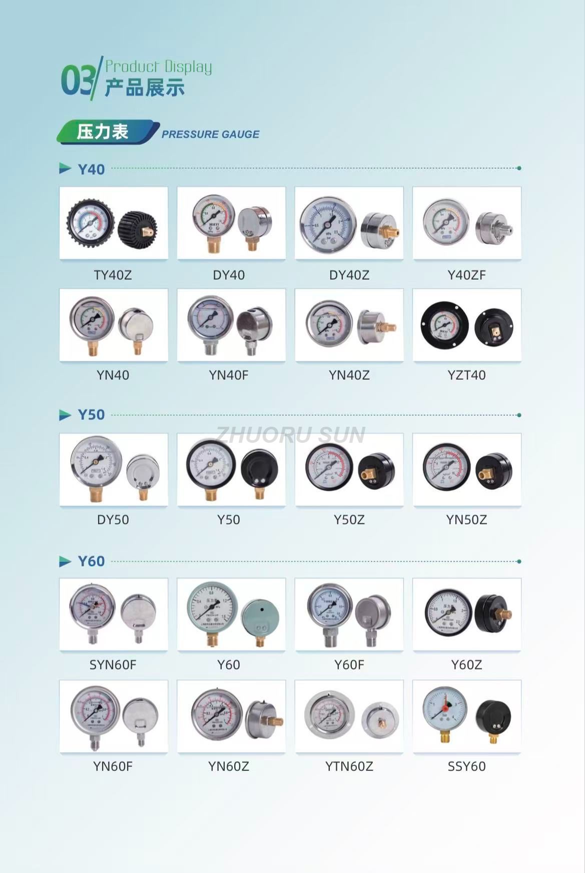Y50 Pressure Gauge with Black Shell Electroplated Material