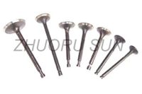 R175 S195 1100 1110 1115 Diesel Engine Valve