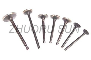 R175 S195 1100 1110 1115 Diesel Engine Valve
