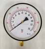 0-17 bar Pressure Gauge 