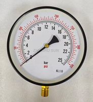 0-17 bar Pressure Gauge 