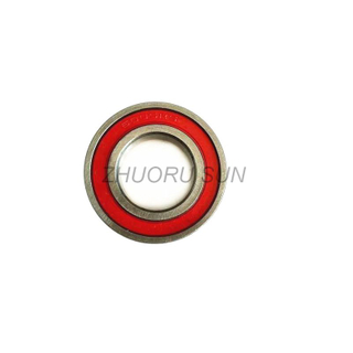 6202 2RS Bearing 6205 6206 Bearing 