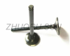 R175 S195 1100 1110 1115 Diesel Engine Valve