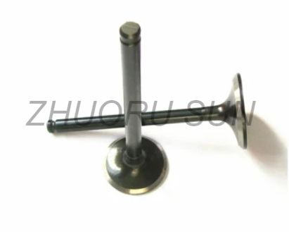 R175 S195 1100 1110 1115 Diesel Engine Valve