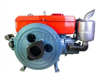 22HP- 24HP Zs1115 Single Cylinder Water Cooled Diesel Engine for Small Marine