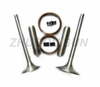 All Models of Valve Kit for Diesel Enging Spare Parts