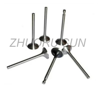 R175 S195 1100 1110 1115 Diesel Engine Valve
