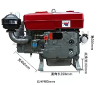 China Supply Zs1115 28HP Single Cylinder Diesel Engine