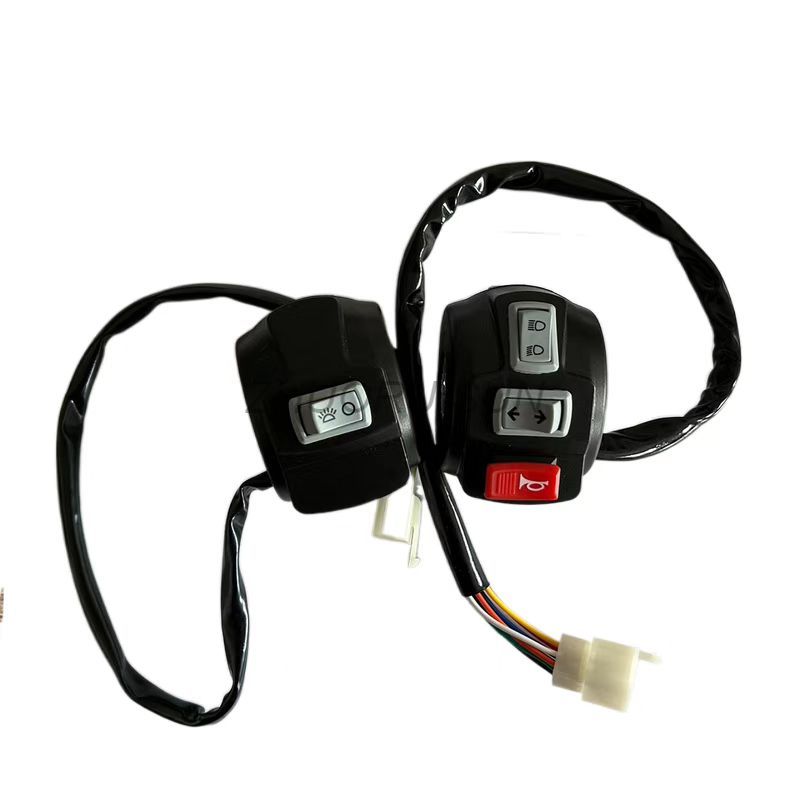 Different Types Electrical rickshaw Handle Switch
