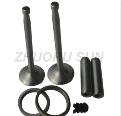 All Models of Valve Kit for Diesel Enging Spare Parts